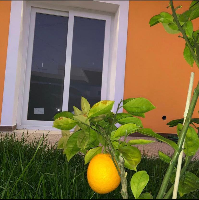 Orange Guest House Сагреш Екстер'єр фото