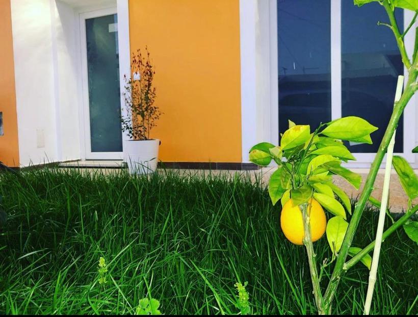 Orange Guest House Сагреш Екстер'єр фото